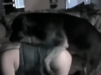 [ Beastiality Porn XXX ] floozy is glamorous Beastiality